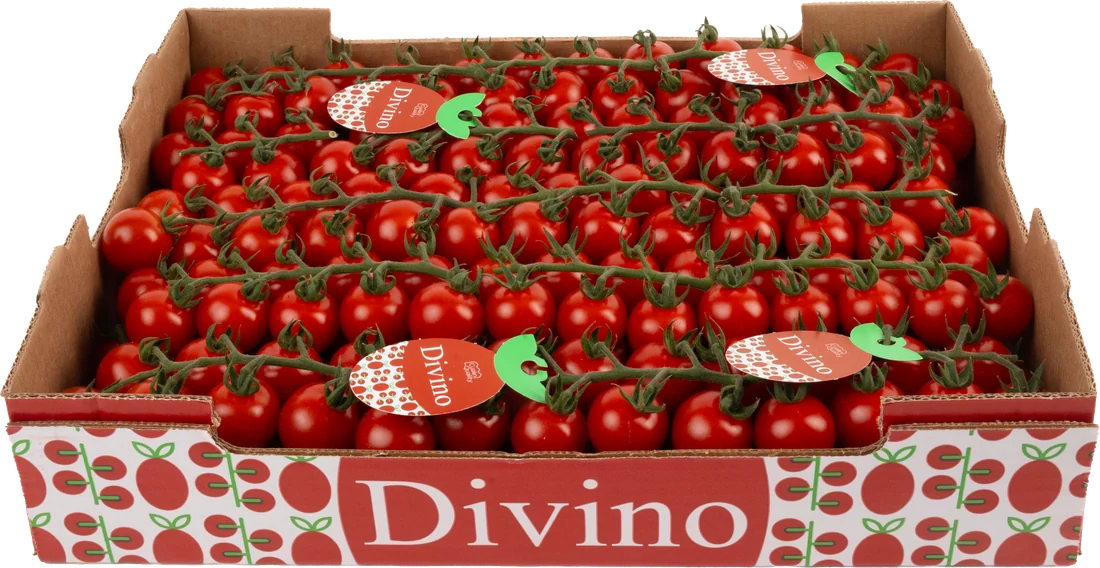 Divino