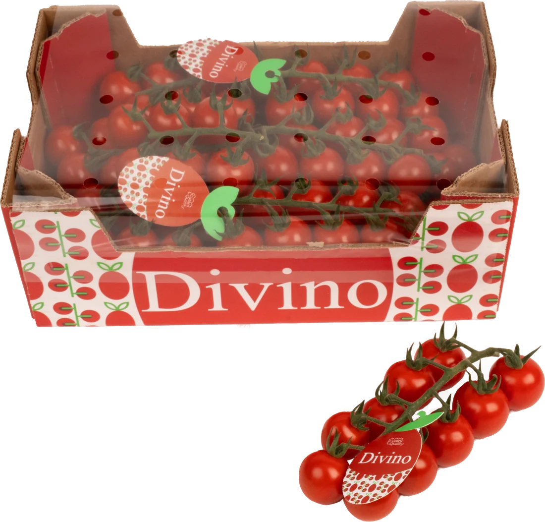 Divino Box with Plastic Cover 1,5 kg