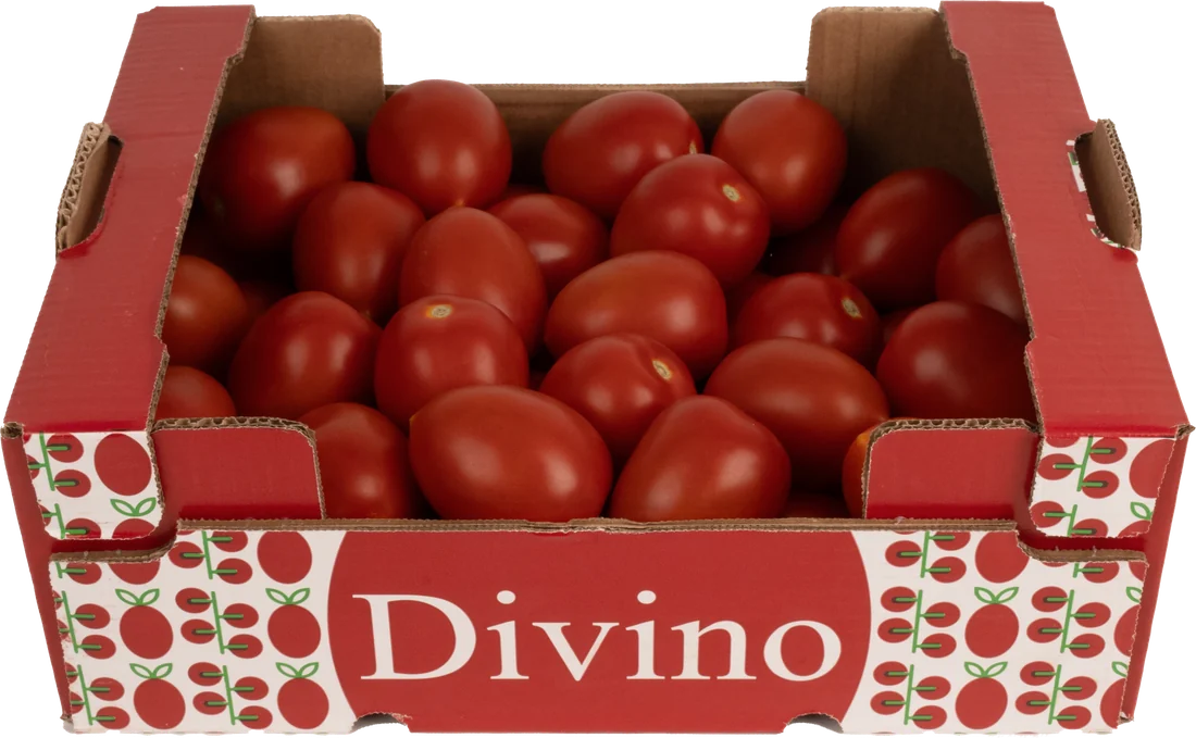 Tomate pera