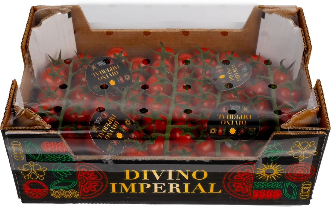 Divino Imperial Box with Plastic Cover 1,5 kg