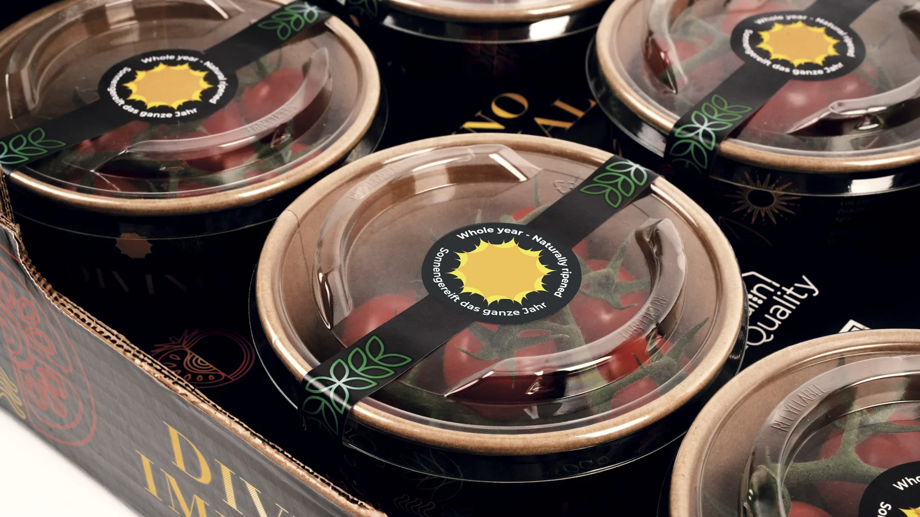 Envases Pokebowl de Divino Imperial