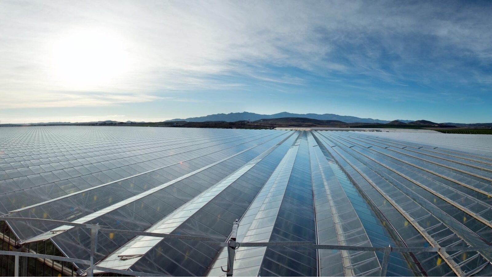 Cualin Quality apuesta por los invernaderos de cristal para reducir su huella hídrica