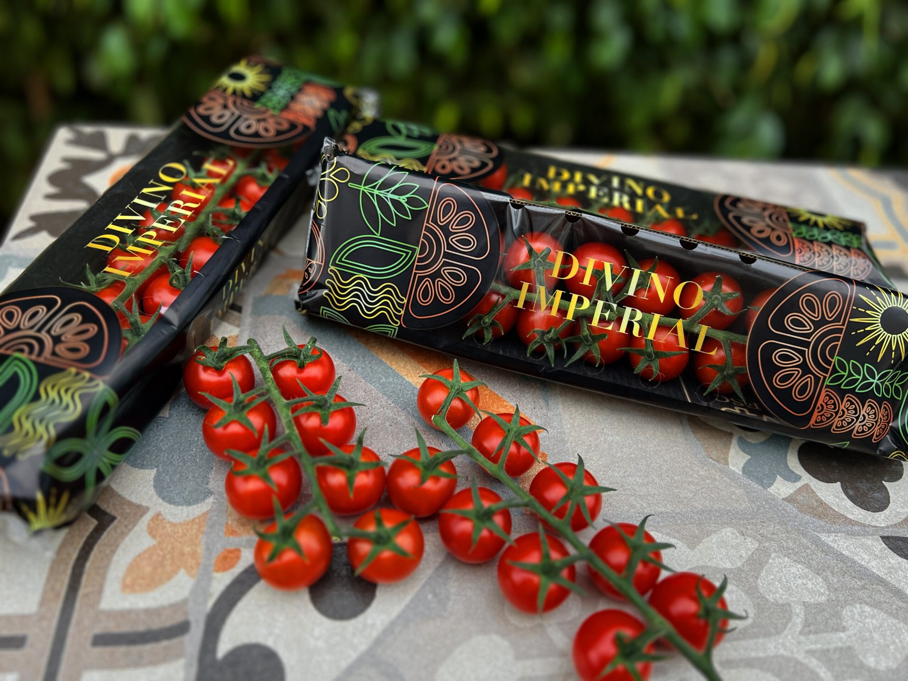 El ‘Art Déco’, protagonista del nuevo packaging de Divino Imperial